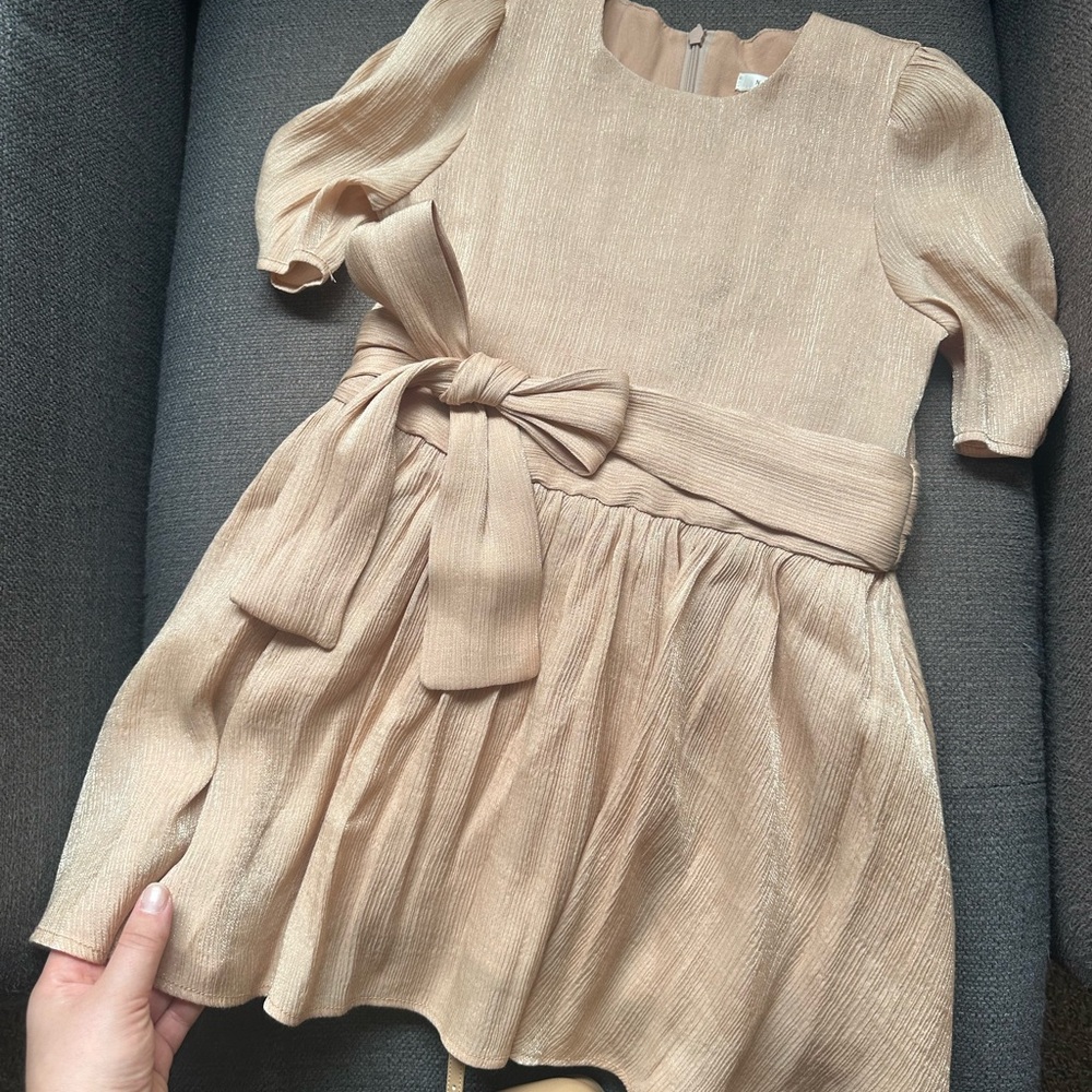 NoraLee Josephine Dress in Metallic Champagne - Picture 5 of 8